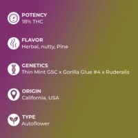 Gorilla-Cookies-Auto-feature