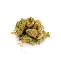 Gush Mintz Cannabis Bud