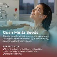Gush Mintz highlight