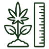 plant height accordion icon