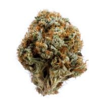 Lemon Skunk Auto Cannabis Bud