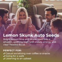 Lemon Skunk Auto highlight