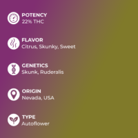 Lemon Skunk Auto specs