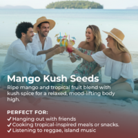 Mango Kush Seeds highlight