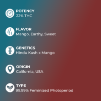 Mango Kush Seeds specs