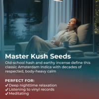 Master Kush highlight
