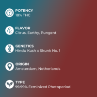 Master Kush specs