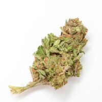 Obama-Kush-bud-gallery