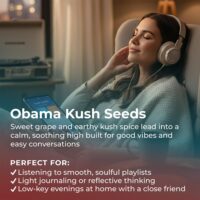 Obama-Kush-highlight