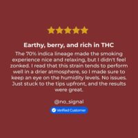 Obama-Kush-review