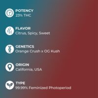 Orange-Kush-feature