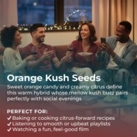 Orange-Kush-highlight