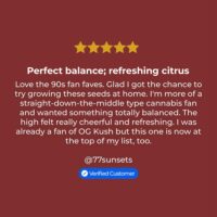 Orange-Kush-review