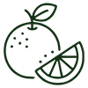 orange citrus accordion icon