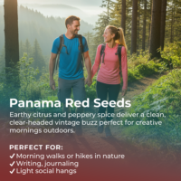 Panama Red Seeds highlight