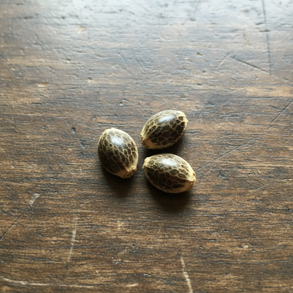 Hover image for Platinum Lemon Cherry Gelato