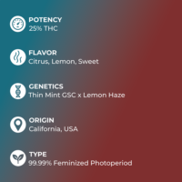 Platinum Lemon Cherry Gelato specs
