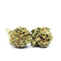 Purple Sunset Seeds Cannabis Bud