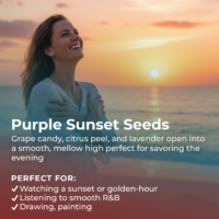 Purple Sunset Seeds highlight