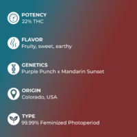 Purple Sunset Seeds specs