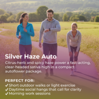 Silver Haze Auto highlight