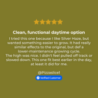 Silver Haze Auto review