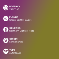 Silver Haze Auto specs