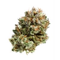 Silver Haze Feminized Seeds Cannabis Bud