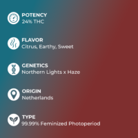 Silver Haze Feminized Seeds specs