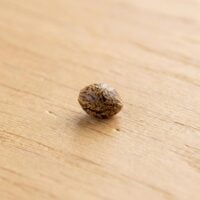 Sour-Og-seed-closeup