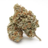 Space Runtz Cannabis Bud