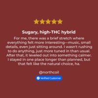 Space Runtz review