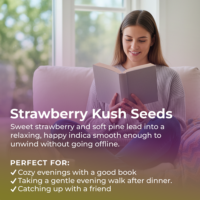 Strawberry Kush highlight