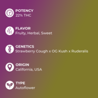 Strawberry Kush specs