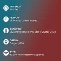 Sugar-Cookie-feature