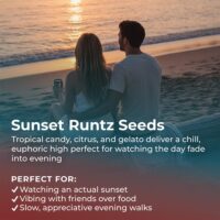 Sunset-Runtz-highlight