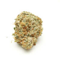 Tropic Thunder Cannabis Bud