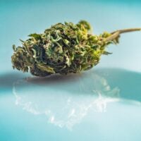 White-Fire-OG-bud-gallery
