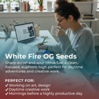 White-Fire-OG-highlight