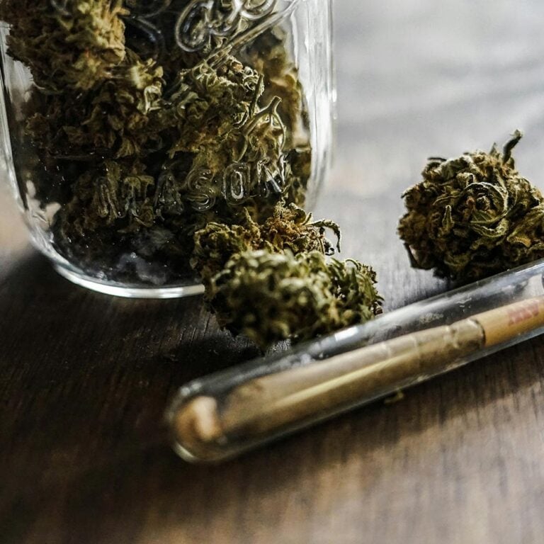 experience-Sugar-Cookie-Feminized-Seeds