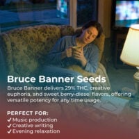 Bruce-Banner-highlight