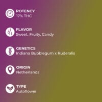 Bubble-Gum-Auto-feature