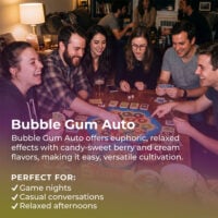 Bubble-Gum-Auto-highlight