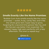 Bubble-Gum-Auto-review