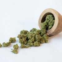 Cannatonic-CBD-bud-gallery