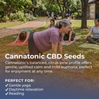 Cannatonic-CBD-highlight