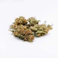 Chile-Verde-bud-gallery