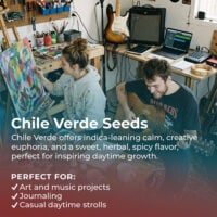 Chile-Verde-highlight