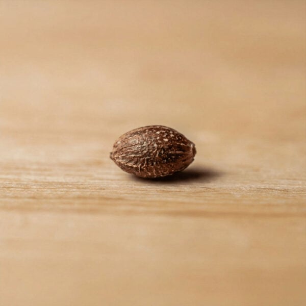 Hover image for Durban Poison Seeds