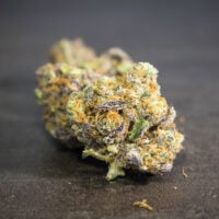 Four-Way-bud-gallery